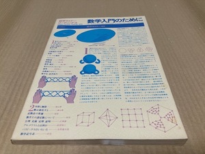 【送料込￥2000】数学セミナーリーディングス1975　数学入門のために　数学セミナー増刊　日本評論社