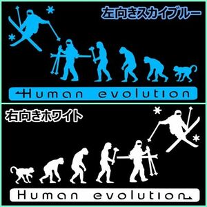 人類の進化 20cm【スキー編】モーグルステッカー2