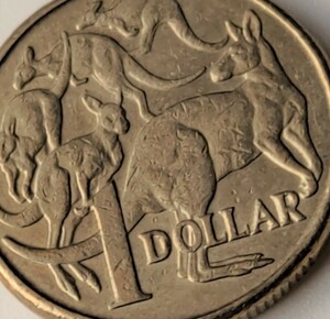 【希少】オーストラリア　5頭のカンガルー　 エリザベス女王の肖像　2011年　1ドル貨♪送63円～ 