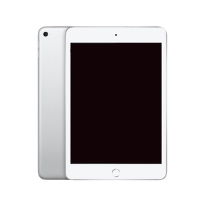 【中古】APPLE iPad mini 7.9インチ 第5世代 Wi-Fi 256GB 2019年春モデル MUU52J/A シルバー 元箱あり