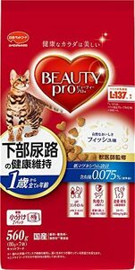 【新品】 ビューティープロ キャット 猫下部尿路の健康維持 1歳から フィッシュ味 560g