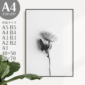 BROOMIN アートポスター フォトポスター 写真 薔薇 バラ モノトーン モノクロ 白黒 A4 210×297mm AP161