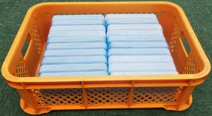 保冷剤　蓄冷材　１ケース　保冷剤４００ｇ　２０個入り　ケース付　送料無料C