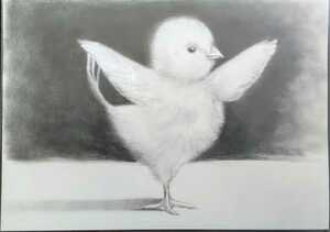 ヒヨコのバレリーナ 手がきイラスト ひよこの絵 鉛筆画 鳥 鶏 バードウォッチング もふもふ かわいい トリックアート