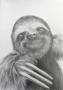 ナマケモノの絵 手描きイラスト 原画 動物 生き物 ナマケモノ 猿 チンパンジー ゴリラ