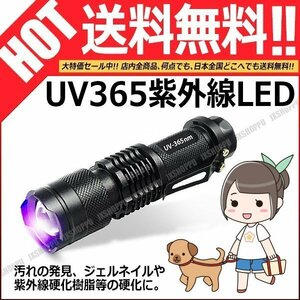 送料無料 紫外線 LED 365nm UVライト 単3電池式 工作 模型 ブラックライト ハンディサイズ ジェルネイル ランプ フィギュア ボンド 接着 UV