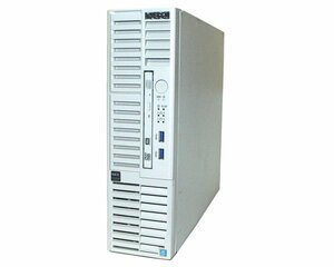 NEC Express5800/T110i-S (N8100-2497Y) Pentium-G4560 3.5GHz メモリ 4GB HDD 500GB(SATA 3.5インチ) DVDマルチ