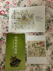 牧野富太郎画ポストカード「ヒメボタン」1枚、牧野記念庭園リーフレット2枚付き